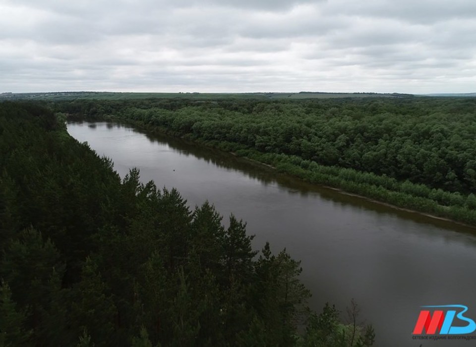 В Волгоградской области начнут очистку реки Иловля